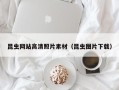 黄山昆虫网站高清照片素材（昆虫图片下载）